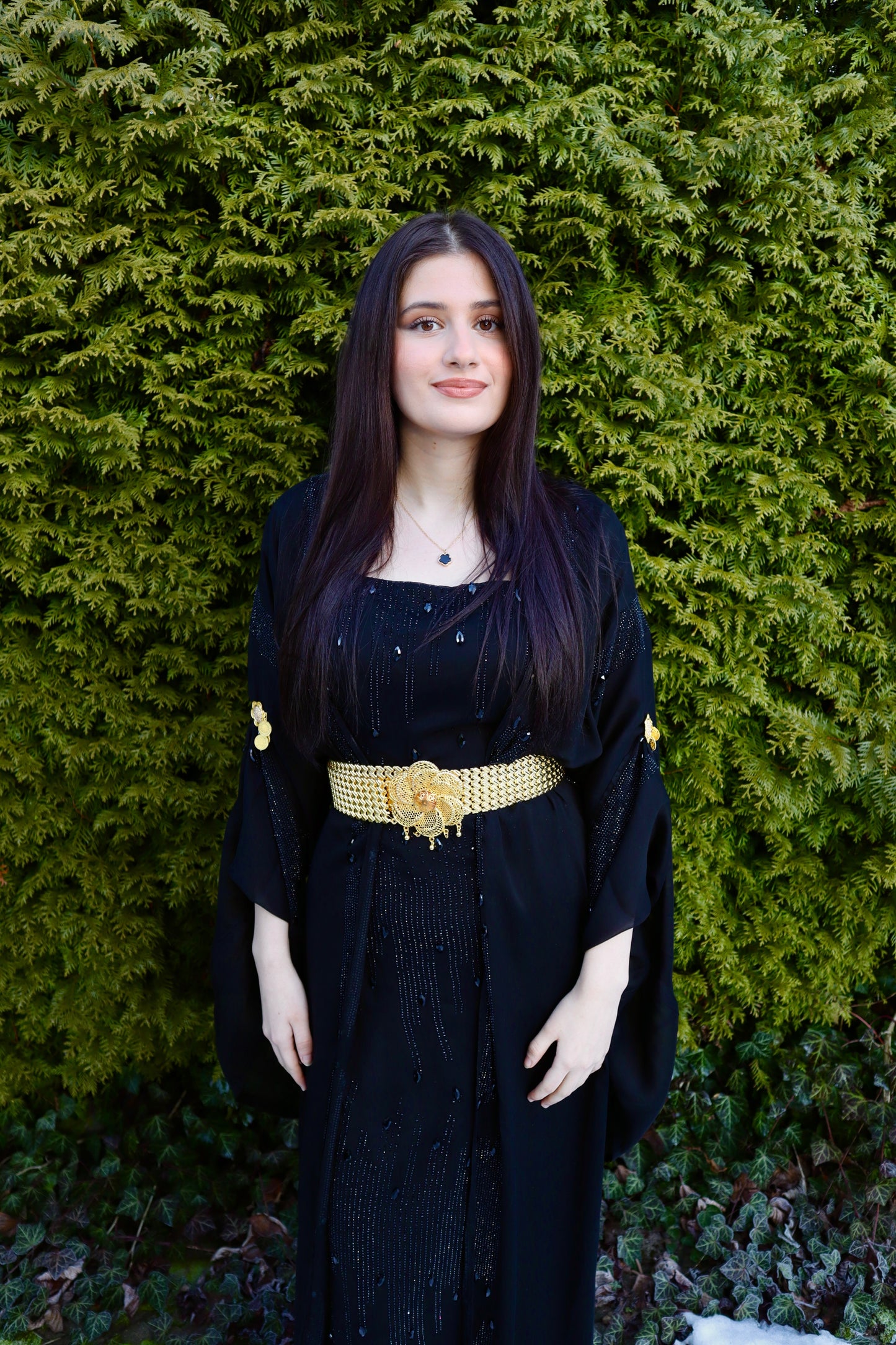 Solîn